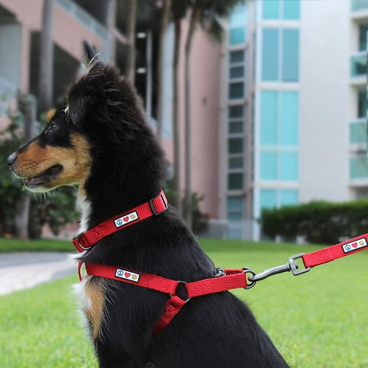Pawtitas Solid Step-in Dog Harness – Adjustable No-Pull Vest for Puppies to Seniors, Safe & Comfortable L Orchid