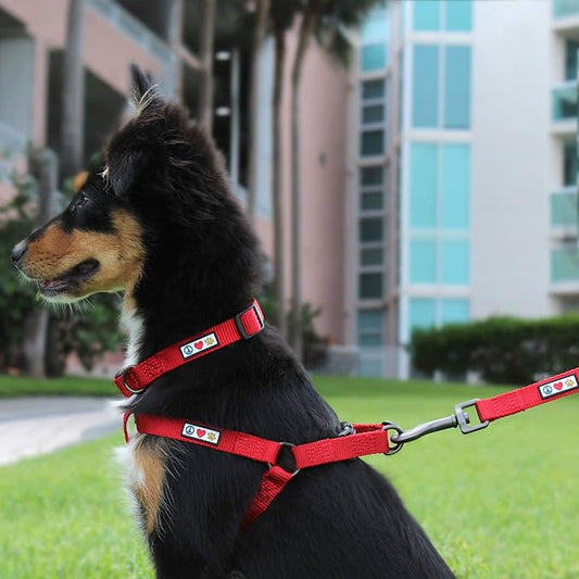 Pawtitas Solid Step-in Dog Harness – Adjustable No-Pull Vest for Puppies to Seniors, Safe & Comfortable L Teal