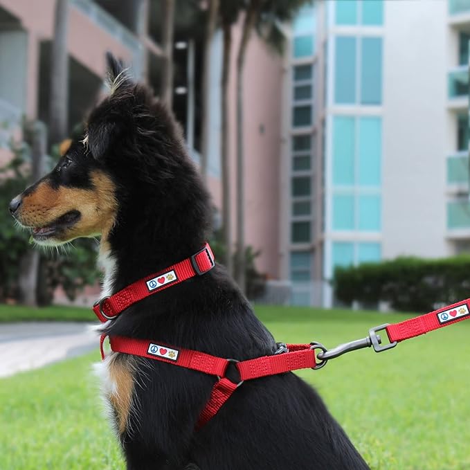 Pawtitas Solid Step-in Dog Harness – Adjustable No-Pull Vest for Puppies to Seniors, Safe & Comfortable XS Millennial Pink