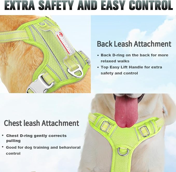 BARKBAY No Pull Dog Harness Large Reflective Dog Harness with Front Clip and Easy Control Handle for Walking Training Running with ID tag Pocket(Sunlight,XS)