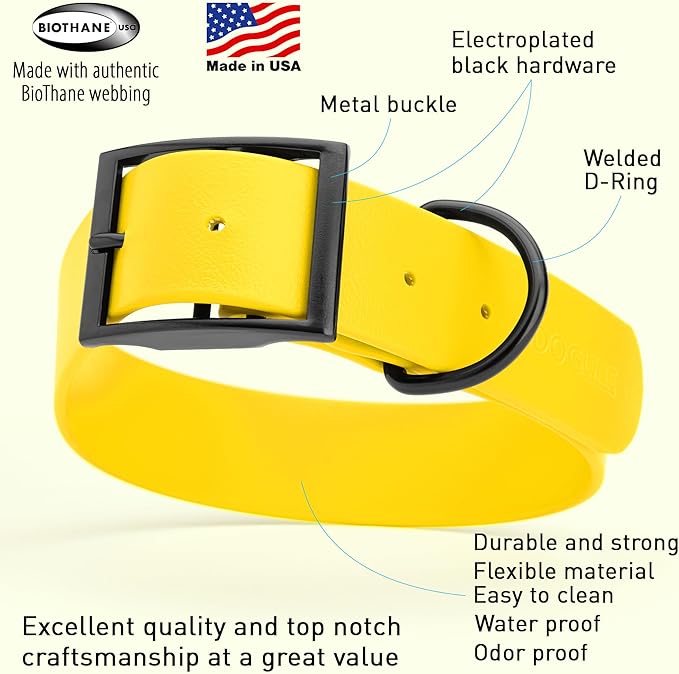 Dogline Biothane Coated Webbing Dog Collar with Black Metal Hardware: Durable Easy-Clean Everyday Collar for Dogs - Comfortable Adjustable Odor-Resistant Pet Collar, W1/2" x L9-12, Lemon Yellow