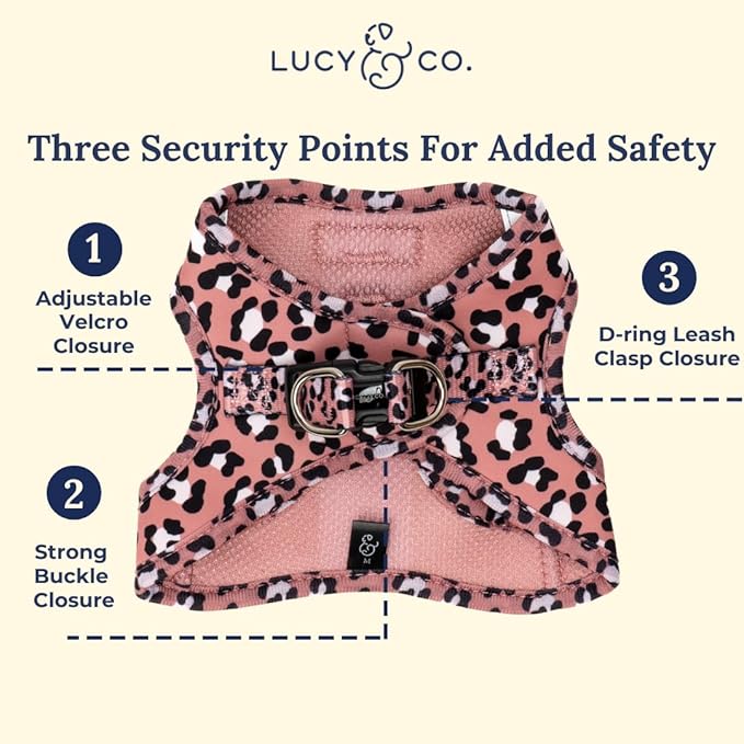 Lucy & Co. Wild Side Step-in Cat Harness & Leash Bundle – Reflective, Breathable & Adjustable Harness for Cats, Kittens & Small Dogs, Lightweight & Secure and Dual Leash Clips – Medium