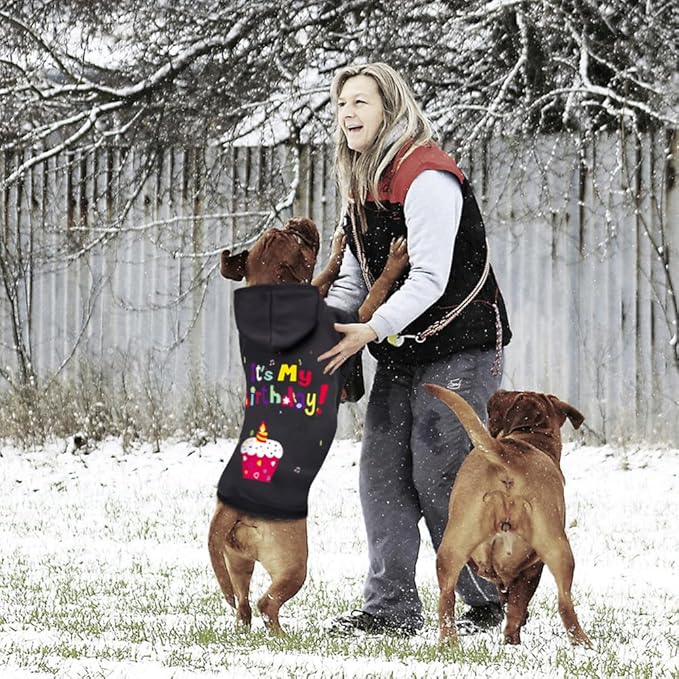 GreenJoy Dog Sweater Dog Hoodie Cold Weather Coat Hooded Sweatshirt for Puppies,Cats, Small Medium Large Dogs (Black(It's My Birthday), Large)