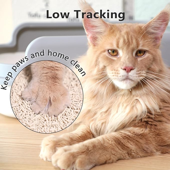 Raki Venus Tofu Cat Litter - Strong Clumping, Ultra Absorbent, Odor Control, Flushable, Low Tracking, Low Dust Tofu Litter Pellets 2 Packs/12LB (Original Flavor)