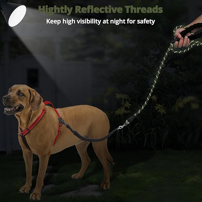 Long Dog Leash 15 FT: Heavy Duty Nylon Rope Leashes for Dogs Training with Reflective Threads Bungee and Padded Handle - Dog Lead for Large Small Medium Dogs Outside Walking Hiking