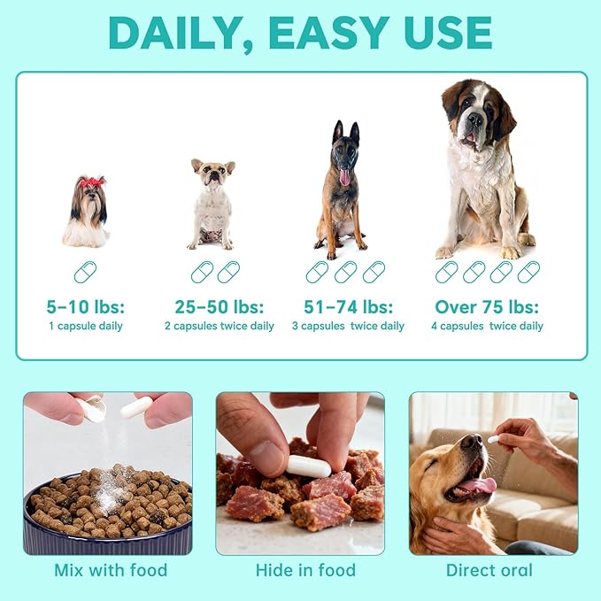 Dry Eye Relief for Dogs – Actoferrin, Black Currant Seed Oil, Omega-3 (EPA/DHA), Lutein & Taurine | Supports Eye Moisture & Reduces Dry Eye Symptoms