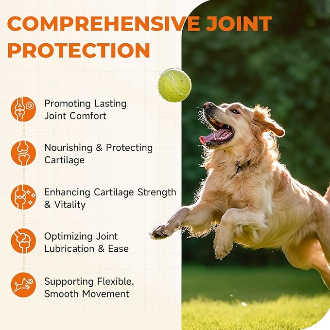 Joint Supplement for Dogs 180 Count, Glucosamine Chondroitin, Glucosamine for Dogs, Dog Hip and Joint Supplement with Chondroitin - MSM - Turmeric, Chicken Flavor, Pain Relief, Joint Health