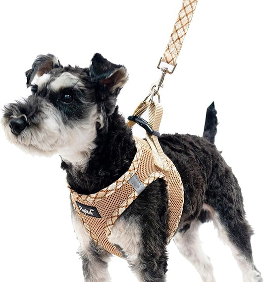 PUPTECK Dog Harness and Leash Set for Small Medium Dogs No Pull Step-in Soft Mesh Puppy Cat Vest Harnesses Reflective at Night, Beige S