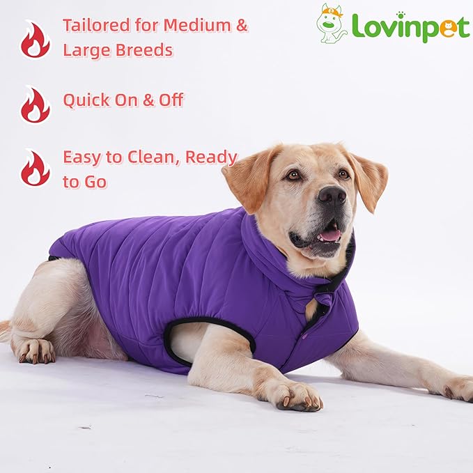 LovinPet Reversible Dog Puffer Coat for Medium & Large Dogs, Down‑Insulated Winter Jacket, Water‑Resistant & Wind‑Resistant, Anti‑Static, Dual-Sided Purple & Black for Cold Weather,2XL