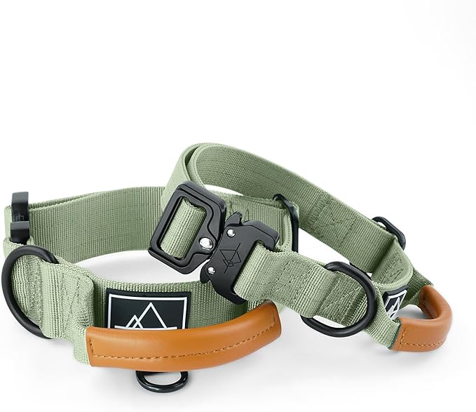 Roam Made toPremium Explorer Control Collar - Adjustable Heavy Duty Nylon Dog Collar with Quick-Release Metal Buckle and Leather Handle (Washington Rain, Size 4, Control)