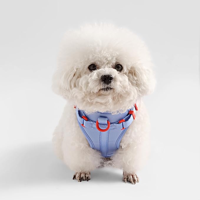 HNS1001E Arlo Small Adjustable Soft Padded No Pull Pet Harness with 3 Buckles and 3 Leash Clips, Sangria