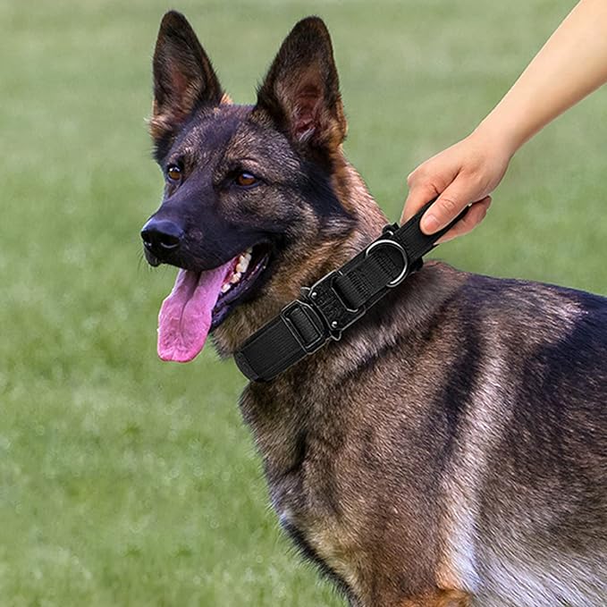 Tactical Dog Collar and Leash Set Heavy Duty Military Dog Collar with Handle and Metal Buckle for Medium and Large Dogs (Black, L)