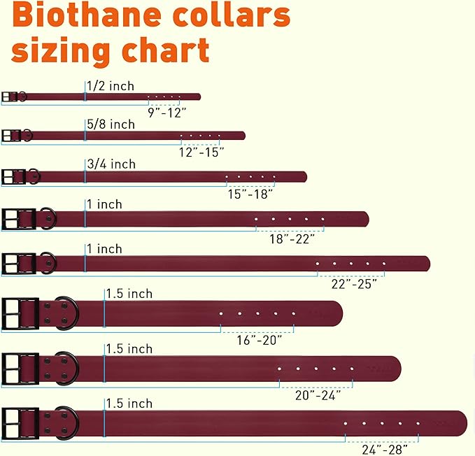 Dogline Biothane Coated Webbing Dog Collar with Black Metal Hardware: Durable Easy-Clean Everyday Collar for Dogs - Comfortable Adjustable Odor-Resistant Pet Collar, W1/2" x L9-12, Merlot Burgundy