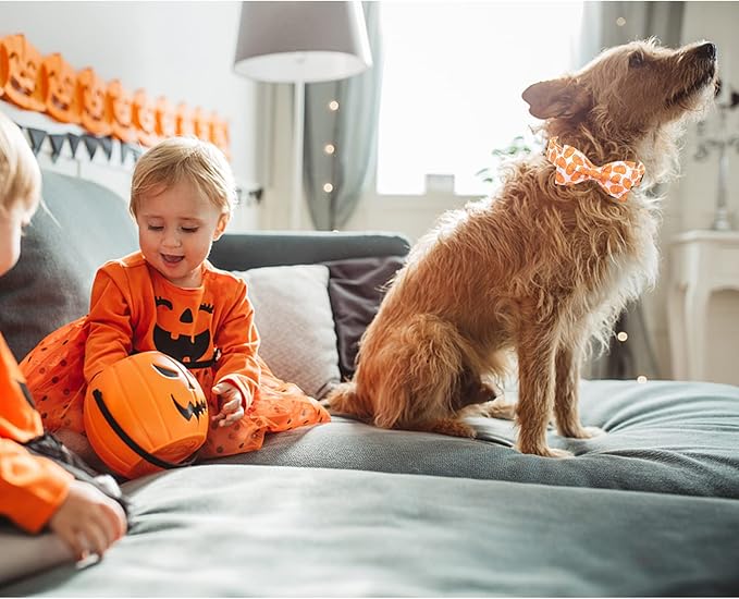 Lionheart Glory Halloween Dog Collars - Adjustable, Heavy Duty Bowtie Collar for Small Dogs, Female or Male