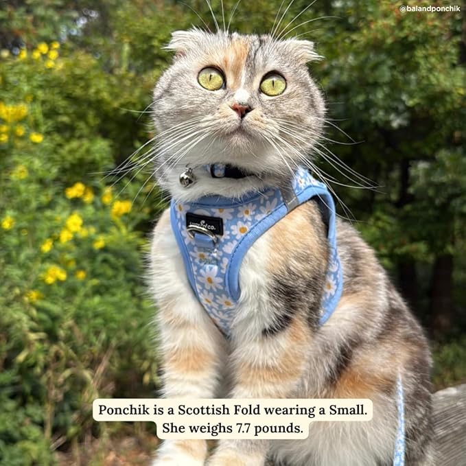 Lucy & Co. Simply Splendid Step-in Cat Harness & Leash Bundle – Reflective, Breathable & Adjustable Harness for Cats, Kittens & Small Dogs, Lightweight & Secure and Dual Leash Clips – Small