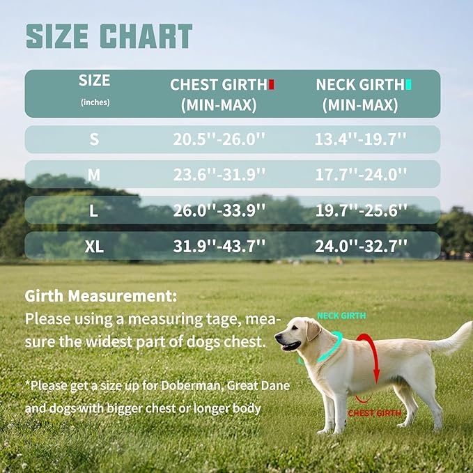 AUROTH Dog Harness and Leash Set, Soft Padded Service Dog Vest with 5.25FT Dog Leash, No Choke, Easy On Pet Vest, Adjustable Reflective No Pull Dog Harness Small Sized Dog, Easy Walking and Training