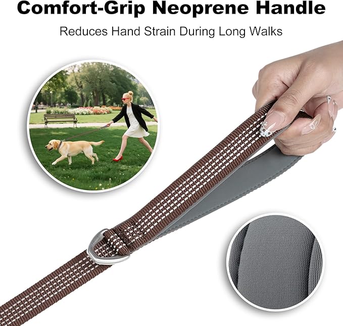 Plutus Pet Heavy Duty Dog Leash with Lockable Aluminum Carabiner, 4/6 Feet Long, Double-Sided Reflective Nylon, Padded Handle, for Puppy, Small, Medium and Large Dogs (Chocolate, 1" x 6')