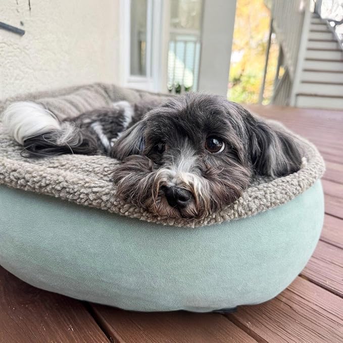 CAROLINA PET COMPANY Microfiber & Tipped Berber Comfy Cup Dog Bed - Sage, M