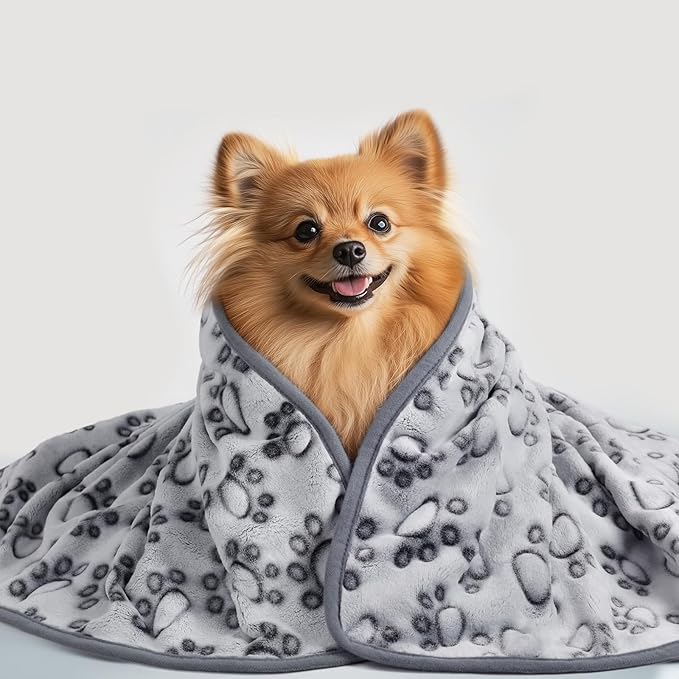 Luciphia Premium Soft Dog Blanket for Small Medium Large Dogs Washable 300GSM Fluffy Warm Fleece Puppy Cat Paw Print Pet Flannel Pcs2 Grey Paw L(41"x31")
