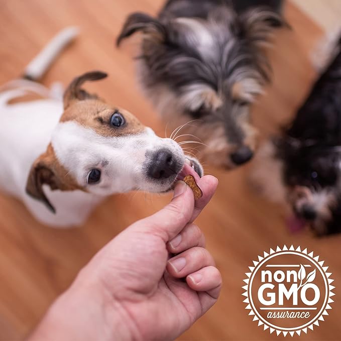 The Missing Link Collagen Care Hip & Joint Soft Chews 60ct - Daily Mobility & Anti-Inflammatory Support for Dogs (Pack of 2)