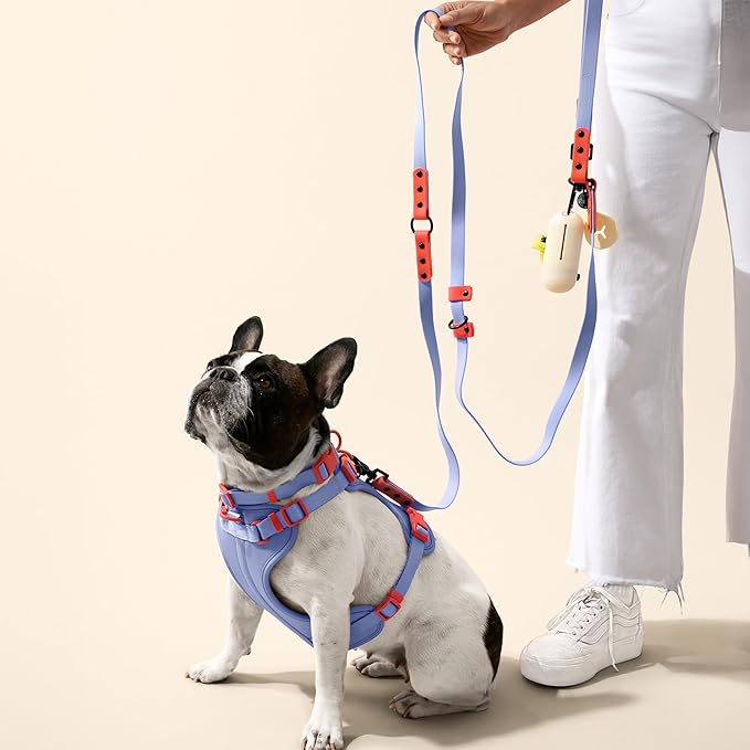 HNS1002E Arlo Medium Adjustable Soft Padded No Pull Pet Harness with 3 Buckles and 3 Leash Clips, Sangria