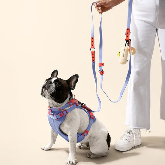HNS1003E Arlo Large Adjustable Soft Padded No Pull Pet Harness with 3 Buckles and 3 Leash Clips, Sangria