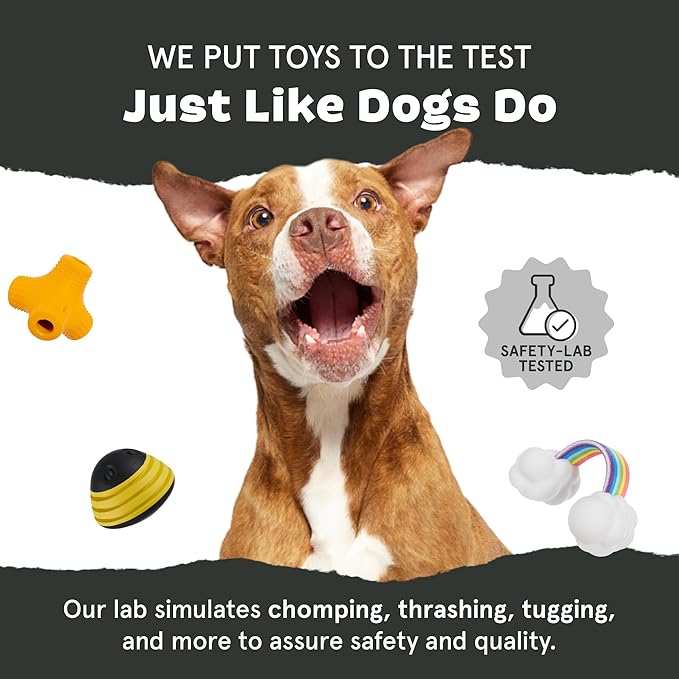 Barkbox Lava Champ Dog Toy for Medium Dogs – Wacky Bounce and Treat Dispensing Fun for Engaging and Interactive Playtime
