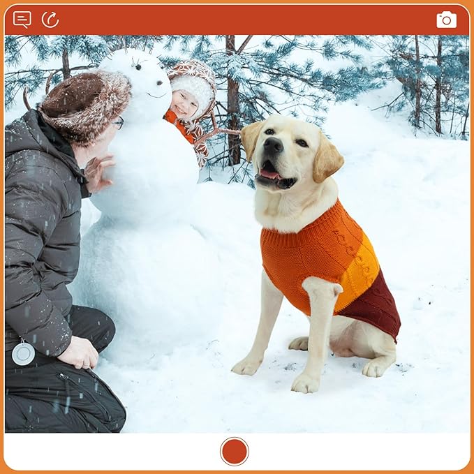 EXPAWLORER Dog Sweater - Large Dogs Fall Sweaters for Girls Boys,Classic Turtleneck Knitwear Dog Clothes for Cold Weather, Cable Knit Dogs Outfit,Coat,Pet Apparel(Orange,L/XL)