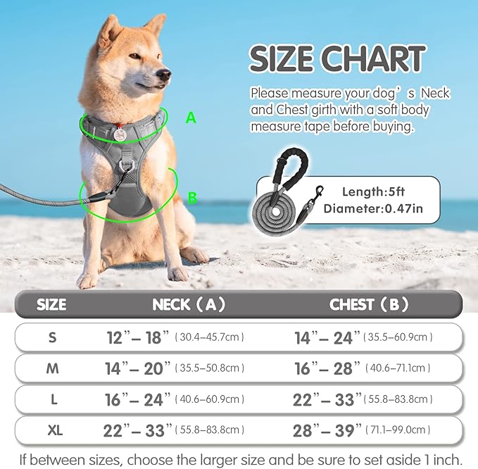 PoyPet No Pull Dog Harness and 5 Feet Leash Set, Release on Neck Reflective Adjustable Pet Vest, Front & Back 2 D-Ring and Soft Padded Pet Harness with Handle for Small to Large Dogs(Grey,S)