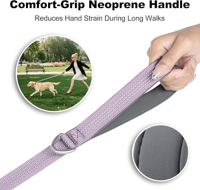 Plutus Pet Heavy Duty Dog Leash with Lockable Aluminum Carabiner, 4/6 Feet Long, Double-Sided Reflective Nylon, Padded Handle, for Puppy, Small, Medium and Large Dogs (Lilac Purple, 1" x 4')