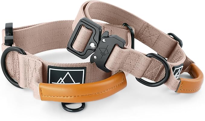 ROAM Made to ROAM Premium Explorer Control Collar - Adjustable Heavy Duty Nylon Dog Collar with Quick-Release Metal Buckle and Leather Handle (Utah Glow, Size 4, Control)