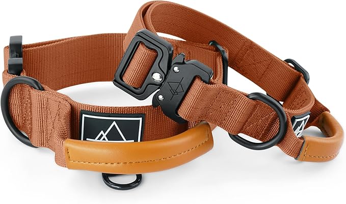Roam Made toPremium Explorer Control Collar - Adjustable Heavy Duty Nylon Dog Collar with Quick-Release Metal Buckle and Leather Handle (Nevada Evening, Size 4, Control)