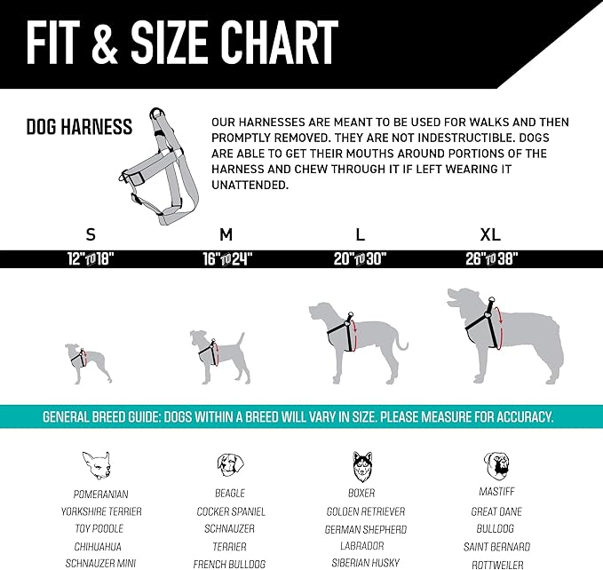 Wolfgang Heavy Duty Adjustable Dog Harness, Pull-Tested to Over 800 lbs for Walking & Training, LazyDaisy Print, Small