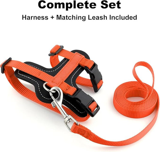 Plutus Pet Adjustable Cat Harness and Leash Set, Quick Release, Escape Proof Nylon Vest with Leather Trim for Kitten, Small Medium Large Cats, Orange