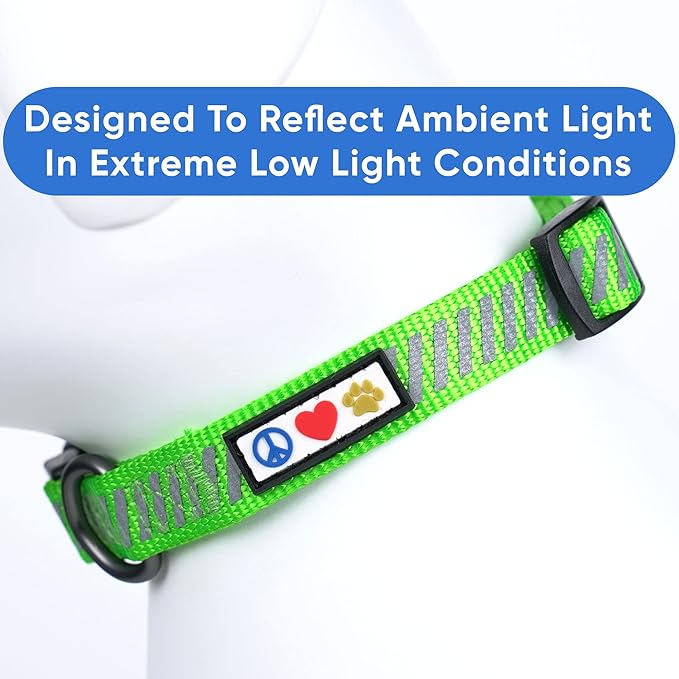 Pawtitas Reflective Dog Collar - Personalized Name & Phone Number, Adjustable for Extra Small Dogs & Puppies, Green