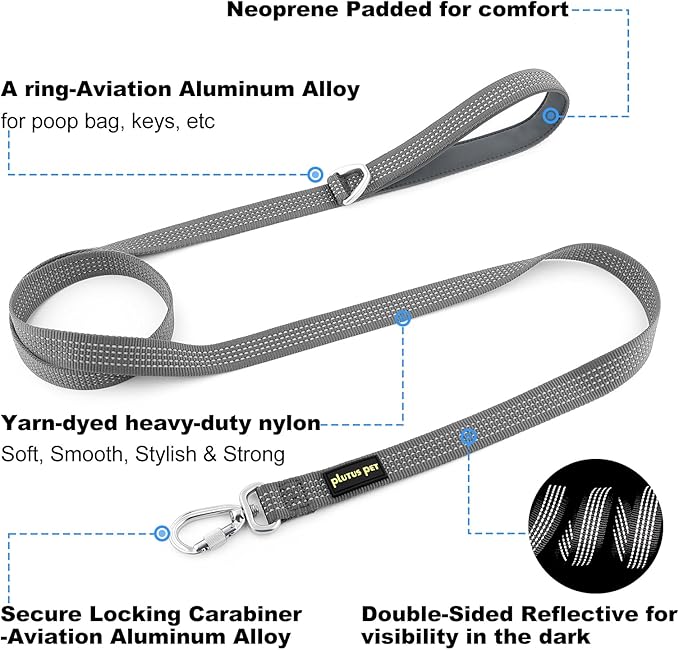 Plutus Pet Heavy Duty Dog Leash with Lockable Aluminum Carabiner, 4/6 Feet Long, Double-Sided Reflective Nylon, Padded Handle, for Puppy, Small, Medium and Large Dogs (Gray, 4/5" x 6')