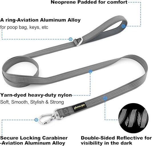 Plutus Pet Heavy Duty Dog Leash with Lockable Aluminum Carabiner, 4/6 Feet Long, Double-Sided Reflective Nylon, Padded Handle, for Puppy, Small, Medium and Large Dogs (Gray, 1" x 6')