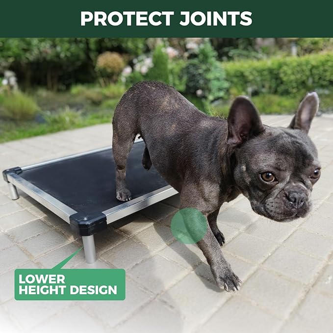FXW TitanNest Chew-Proof Elevated Dog Bed, Raised Cot for Indoor/Outdoor/Camping Use, Durable & Waterproof Cooling Pet Bed for Toy Dogs, 24.0" L x 20.0" W x 4.1" H, Black