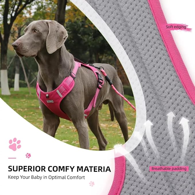 Dog Harness No Pull Adjustable Reflective,for Medium and Large Small Dog with Leash 59.06in (Fuscia, S)
