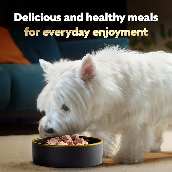 Cesar Loaf in Sauce Wet Dog Food Rotisserie Chicken Flavor with Bacon & Cheese and Filet Mignon Flavor with Bacon & Potato Variety Pack, 3.5 oz. Easy Peel Trays, 12 Count (Pack of 2)