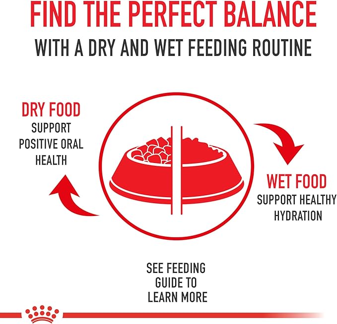 Royal Canin Size Health Nutrition Medium Adult Dry Dog Food, 40 lb Bag