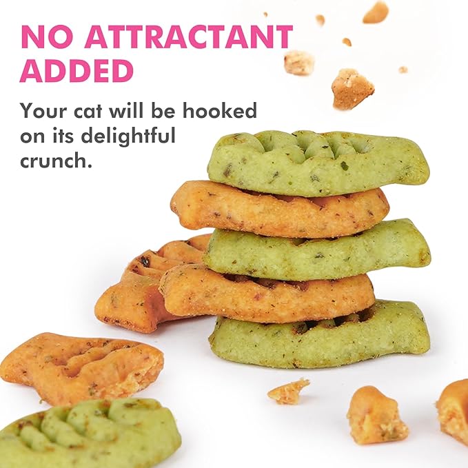 Puddonio Catnip Cat Treats, Chicken and Salmon Flavor Cat Snacks, Training Biscuits Treats for Cats, Crunchy Fish Shape Adult Cat Biscuits, 16 oz