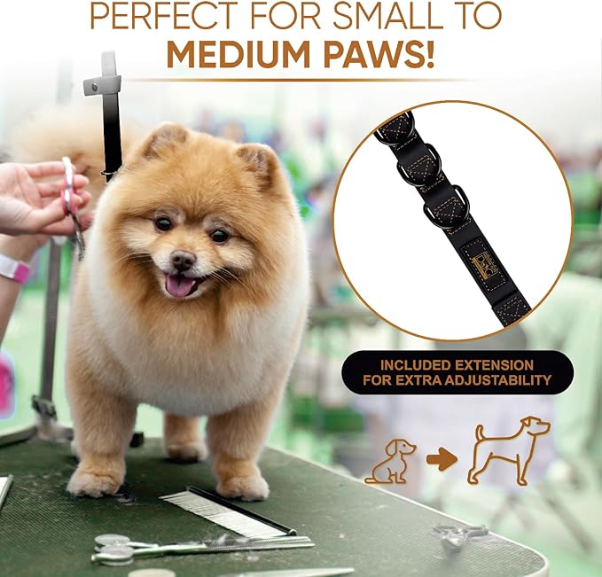 Prestige Elite - Grooming loops for Dogs, Groomers Helper, Grooming Loops for Pet Groomers Adjustable Bio Thane Dog Grooming Loop, Belly Strap, Grooming Noose, Waterproof Extension Strap & Suction Cup