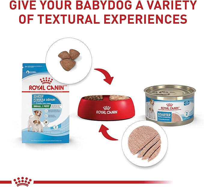 Royal Canin Size Health Nutrition Small Starter Mother & Babydog Dry Dog Food, 14 lb bag