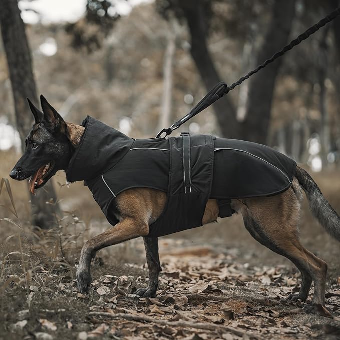 OneTigris Dog Coat Waterproof Dog Jacket with Adjustable Buckle Hook & Loop Windproof Cold Weather Coats for Small Medium Large Dogs (Black, Large)