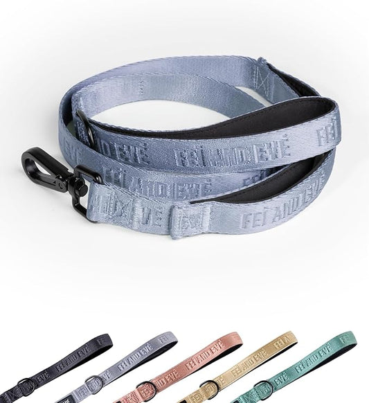 2025 New Edition, Fei & Eve Classic Dog Leash - 6FT, Dual Padded Handles, 360° Swivel Hook, Heavy Duty 210D Nylon - No-Pull Design with Traffic Control Handle - for Small/Medium/Large Dogs, Blue
