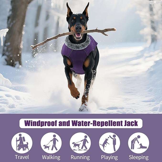 DENTRUN Winter Warm Dog Coat Reflective Jacket with Turtleneck for Cold Weather, Adjustable Buckle Windproof Water Repellent, Thick Snowsuit Fleece Vest for Small, Medium, Large Dogs, Purple, M