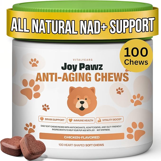 Senior Dog Supplement & Raise NAD+ Levels, Anti Aging, Tumeric, Multivitamin, Probiotics - Soft Chews - Brain, Joint & Immune Support – Chicken Flavor, 100pc