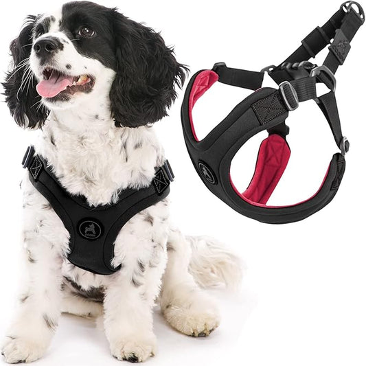 Gooby Sporty Escape Free Harness, Medium - Black, Neoprene, No-Pull, 4-Point Adjustment for Small Dogs up to 35 lbs