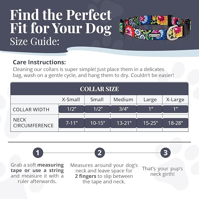 Lucky Love Dog - Easy Click Buckle Dog Collar with Leash Set Combo, Durable & Comfortable for Male & Female Dogs, Pet Collar for Small to Large Dogs, Secure Fit - Lilian Combo, XS